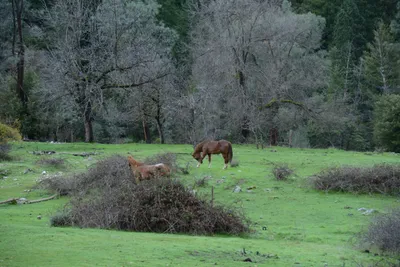 DSC_0952 (Large).JPG